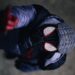 Kampagne von Spider-Man-Enthusiasten gestartet, um die Integrität des Spider-Versums zu bewahren